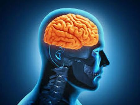 Excessive Glutamate levels 