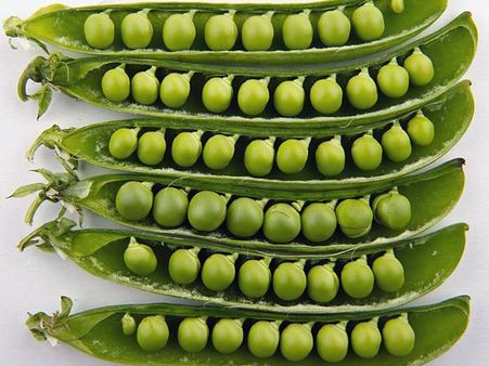 Type O: Foods To Avoid