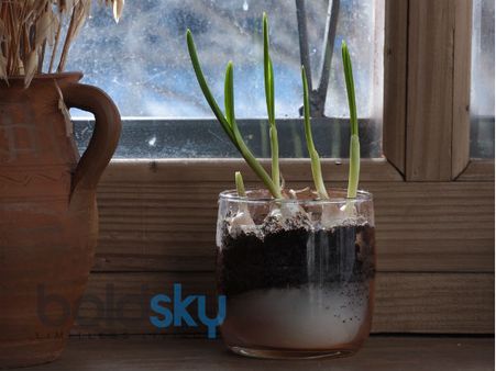 Get Rid Of Stains On Pots