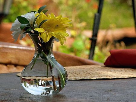 Clean Flower Vase