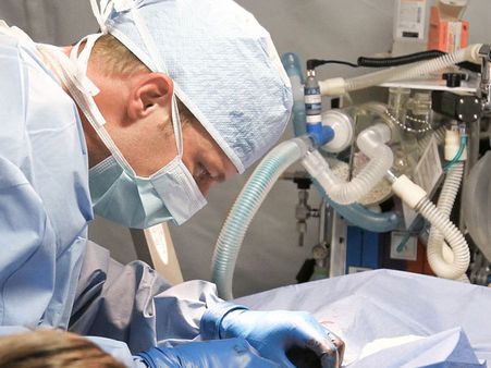 They Know The Human Body