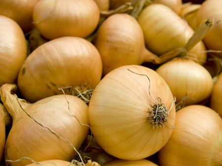 Garlic And Onions Garlic And Onions