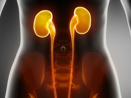 Slow Kidney Functioning 