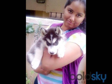 The Friend Who Loves Pets