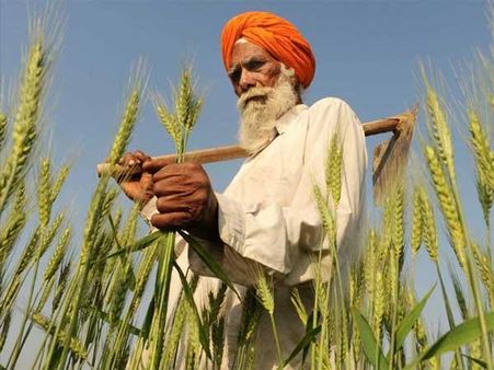 He Worked Hard In The Fields He Worked Hard In The Fields
