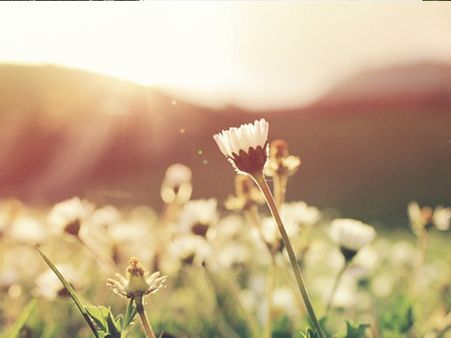  Exposure To Sunlight