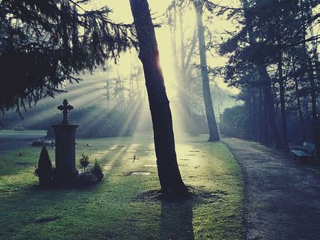 Texting Can Affect Your Life Expectancy: