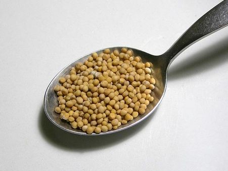 Mustard