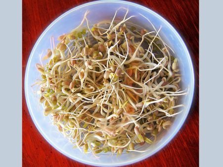 Bean Sprouts: