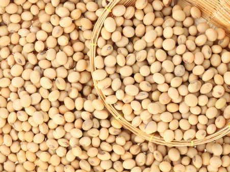 Soya Beans