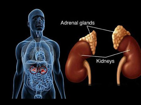 Treats Kidney Problems