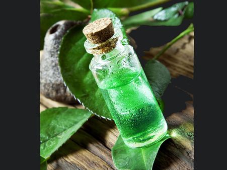 Tea Tree Oil