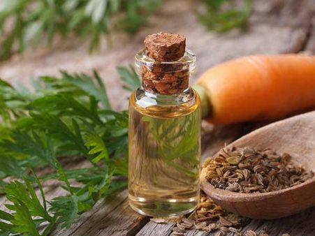 Carrot Seed Oil
