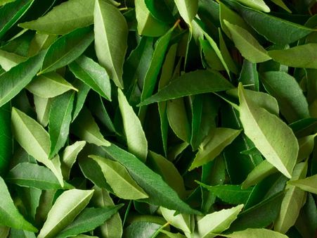 Curry Leaves 