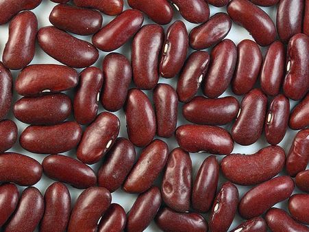 Kidney Beans For Kidneys