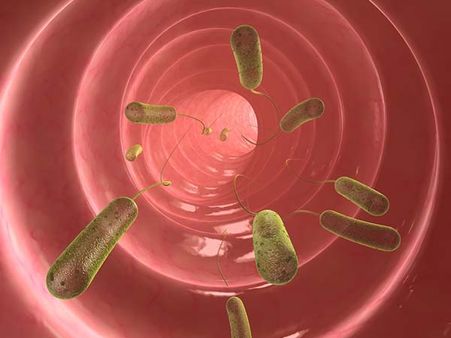 Are Intestinal Parasites Dangerous?