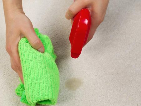 Clean Carpets And Mattresses