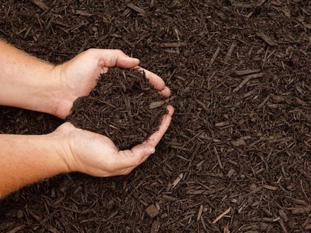 3. Add Mulch: 