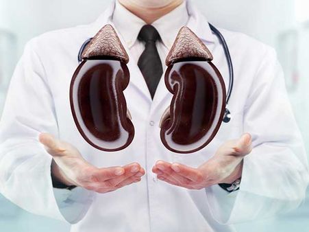 Tumours In The Kidney