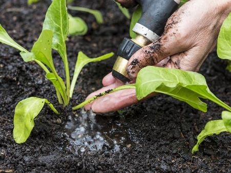 Soil Preparation Soil Preparation