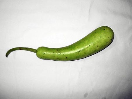 Bottle Gourd: 
