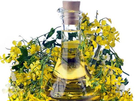 Mustard Oil