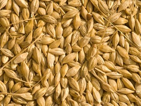 Try Out Barley & Bran: 