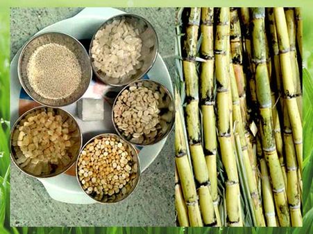Importance Of Sesame Seeds And Jaggery