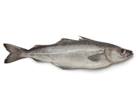 10.Pollock: 10.Pollock: