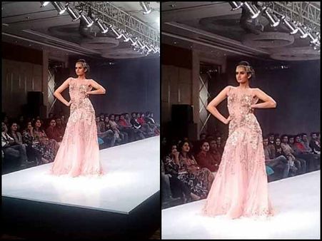 A Sheer Peach Gown A Sheer Peach Gown