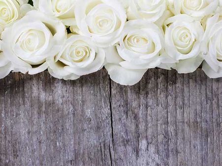 White Rose: White Rose: