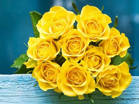 Yellow Roses: Yellow Roses: