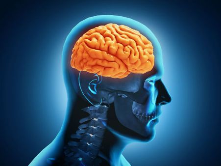 Good For Brain Health Good For Brain Health