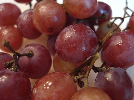 Grape Pulp Grape Pulp