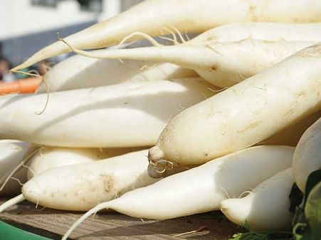Radish
