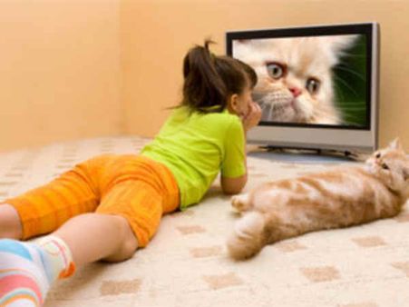 Let Your Kids Gain Knowledge Through TV Channels 