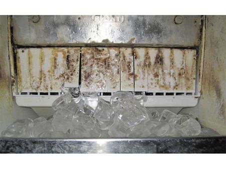 The Ice Machine Gets Hardly Cleaned