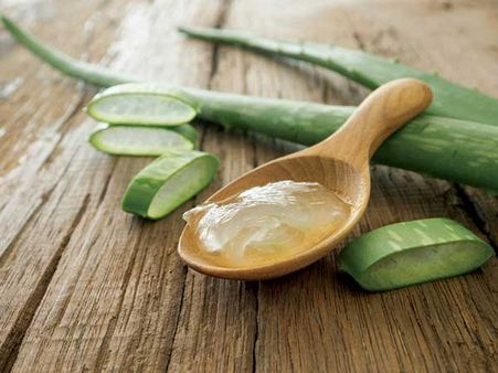 Aloe Vera: Aloe Vera: