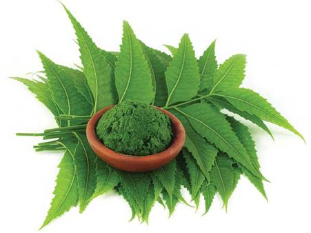 Neem: Neem: