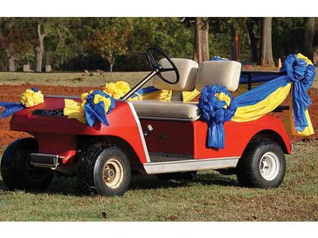 6. Don’t Drive Or Park Your Cars: 