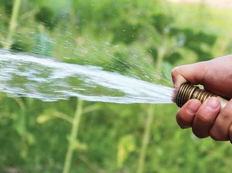 2. Water Frequently: 