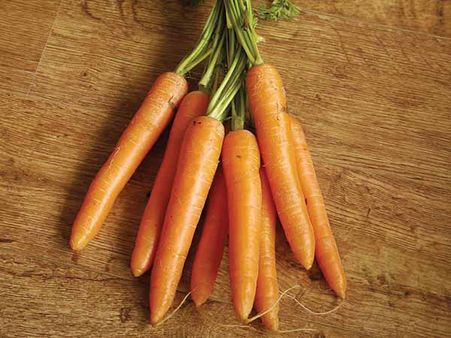 Carrots: 