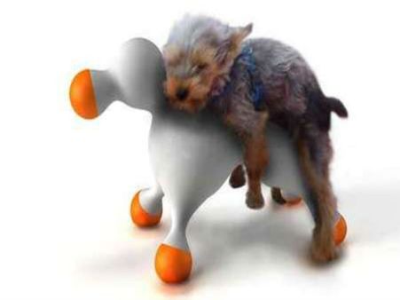 To Keep Your Pet Dog Away 