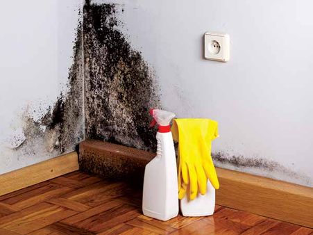 6. Get Rid Of Mold
