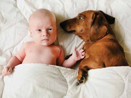 Establish The Boundaries: Establish The Boundaries: