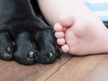 Forget The Breed: Forget The Breed: