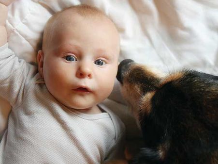 Your Child Comes First: Your Child Comes First: