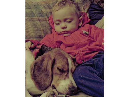 Invest In A Pram: Invest In A Pram: