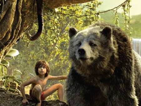 Symbiotic Relationships- How We Depend Upon Each Other