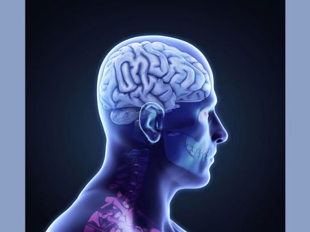 Pituitary Gland Problem